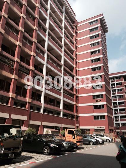 Blk 446 Hougang Avenue 8 (Hougang), HDB Executive #79081262